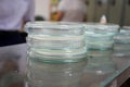 Petri dishes are used for breeding microorganisms, viruses and germs in the microbiological laboratory.